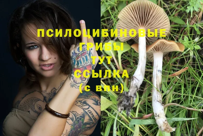 Галлюциногенные грибы MAGIC MUSHROOMS  Горнозаводск 